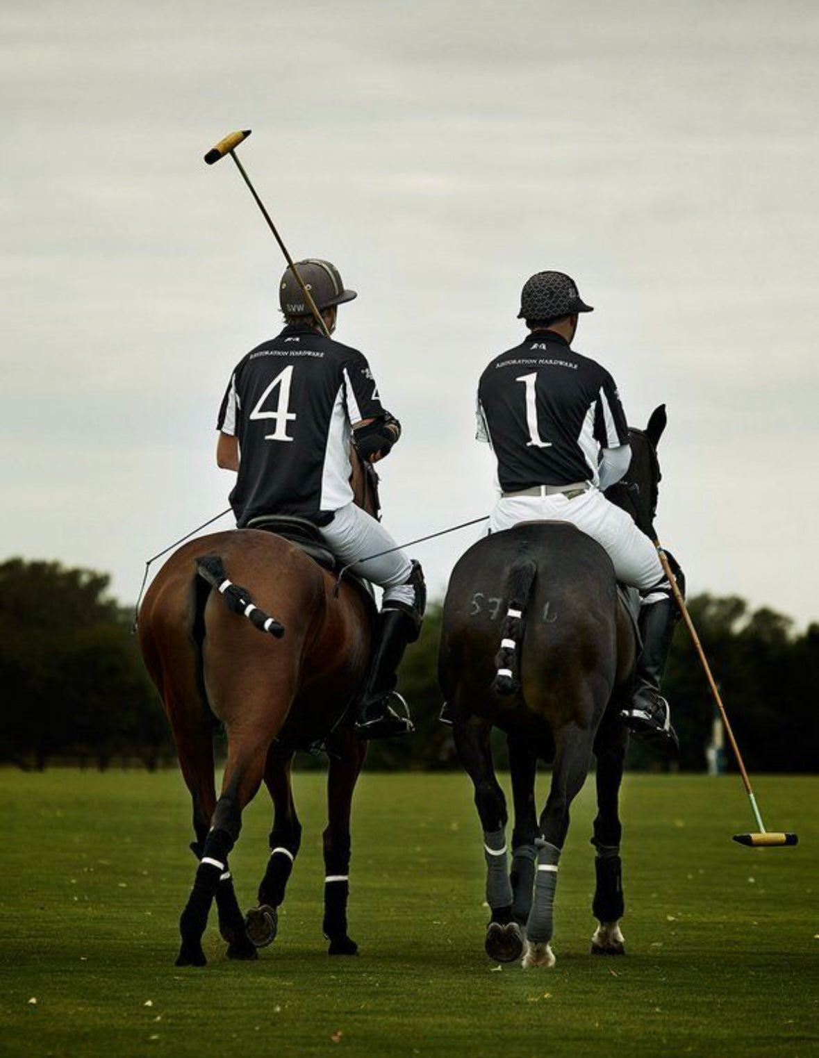 HERITATGE "Polo"